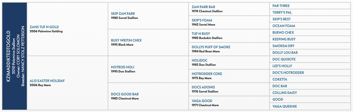 Five-generation pedigree chart for Kzimaddiktedtogold, a 2010 Palomino Stallion, listing sires and dams by name, year and color