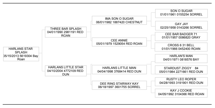 Blane Cox's Harlans Star Splash, aka Kit