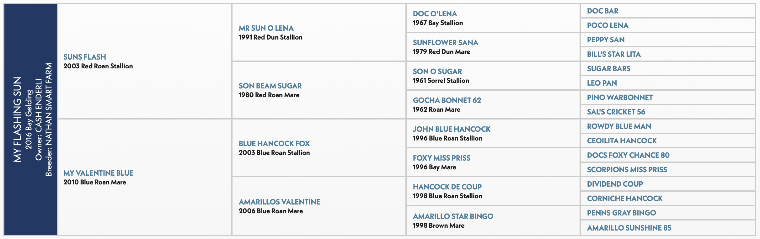 Five-generation pedigree chart for My Flashing Sun, a 2016 bay gelding by Suns Flash out of My Valentine Blue
