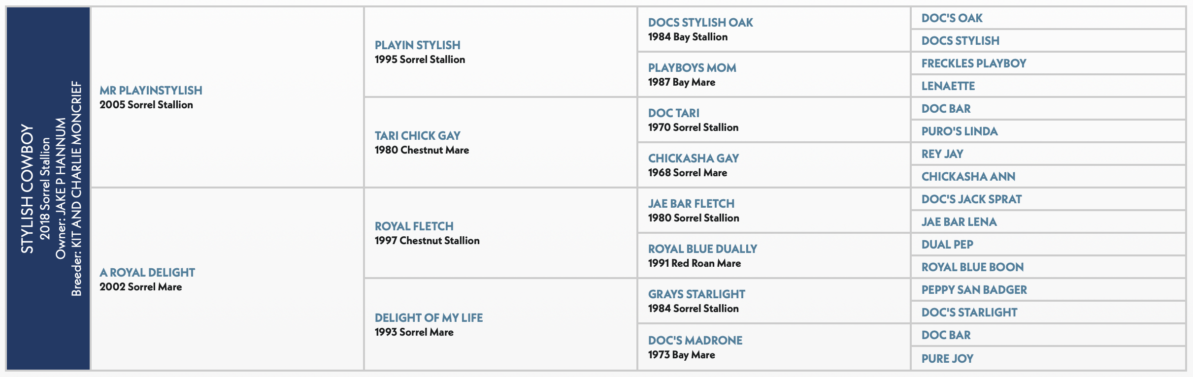 Five-generation pedigree chart for Stylish Cowboy, a 2018 sorrel stallion by Mr Playinstylish out of A Royal Delight