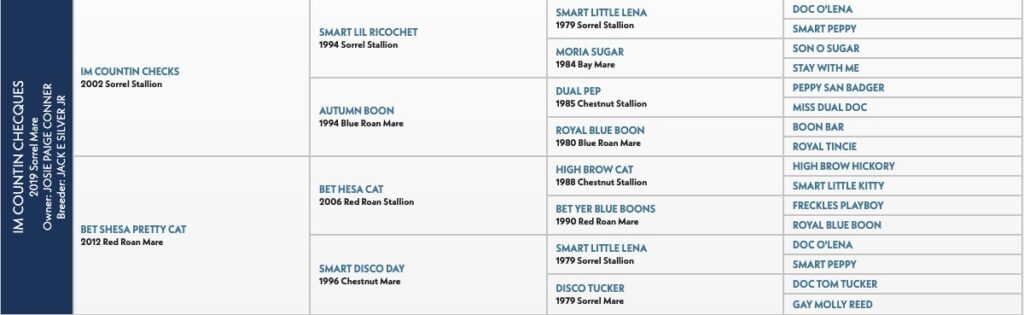 Pedigree chart showing Quarter Horse bloodlines organized in columns with horse names, years, and breeds listed for multiple generations