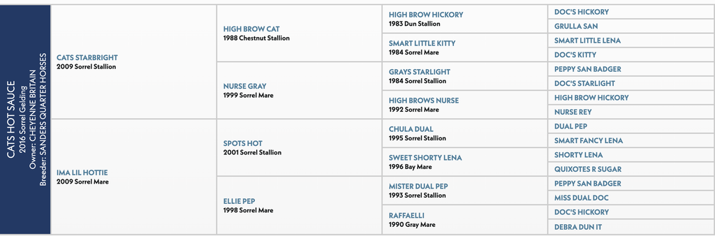 Pedigree chart showing bloodlines for cats at sale, listing sire and dam information across multiple generations with horse names and years