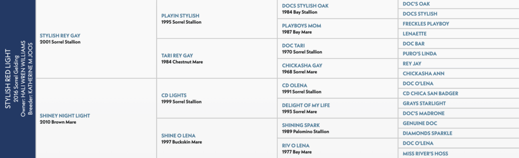 Pedigree chart listing thoroughbred horses and mares with their birth years and sire information, organized in vertical columns with names like Stylish Bey Gay, Tarbey Gay, and CD Lights