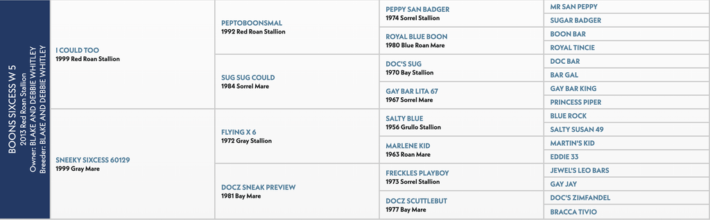 Thoroughbred horse pedigree chart showing ancestral bloodlines organized in columns from left to right, listing sire and dam names with birth years and coat colors