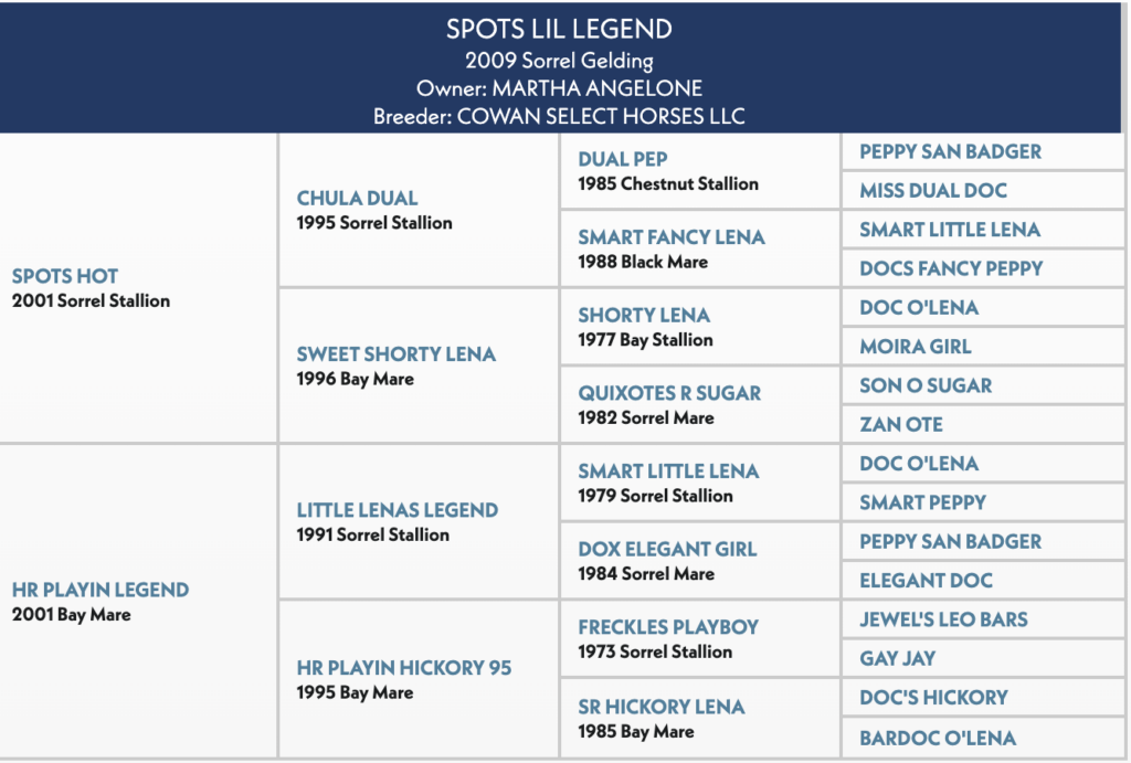 Pedigree chart for Spots Lil Legend, a 2009 sorrel gelding owned by Martha Angelone and bred by Cowan Select Horses LLC, showing four generations of ancestors
