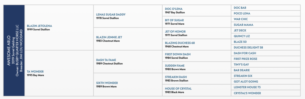 Awesome Arlo horse pedigree