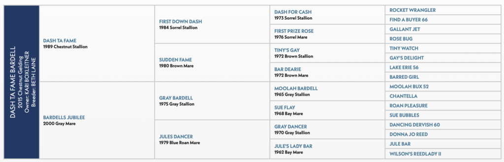 Dash Ta Fame Bardell pedigree