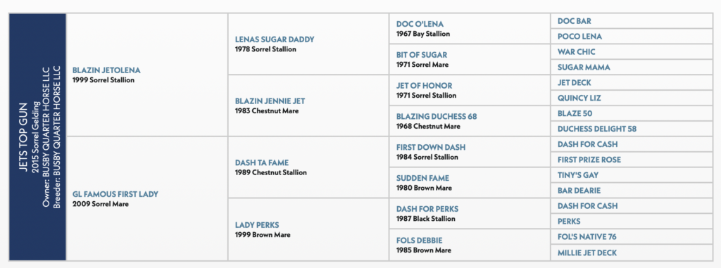Jets Top Gun pedigree