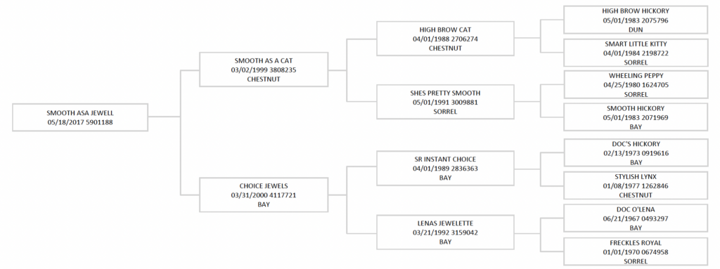 Four-generation pedigree chart for Smooth Asa Jewell, tracing Smooth As A Cat and Choice Jewels bloodlines with registration numbers and colors