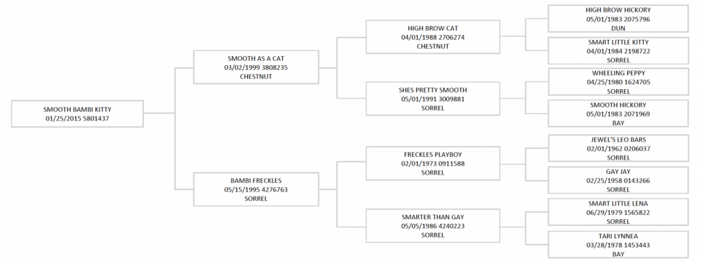 Three-generation pedigree chart for Smooth Bambi Kitty, tracing sires and dams including High Brow Cat and Freckles Playboy
