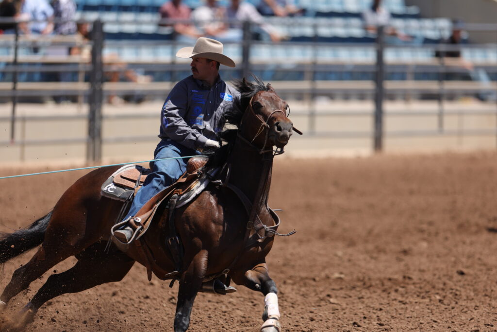 Cowboy in a white hat and blue shirt gallops a bay horse across the arena dirt, rope taut behind him