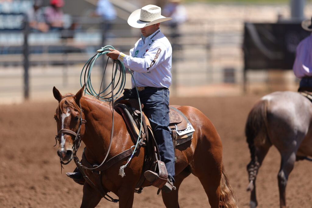 Team roper in a white straw cowboy hat coils his rope while riding a sorrel horse across the arena dirt