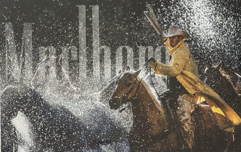 Cowboy on horseback riding through water spray with a city skyline in the background