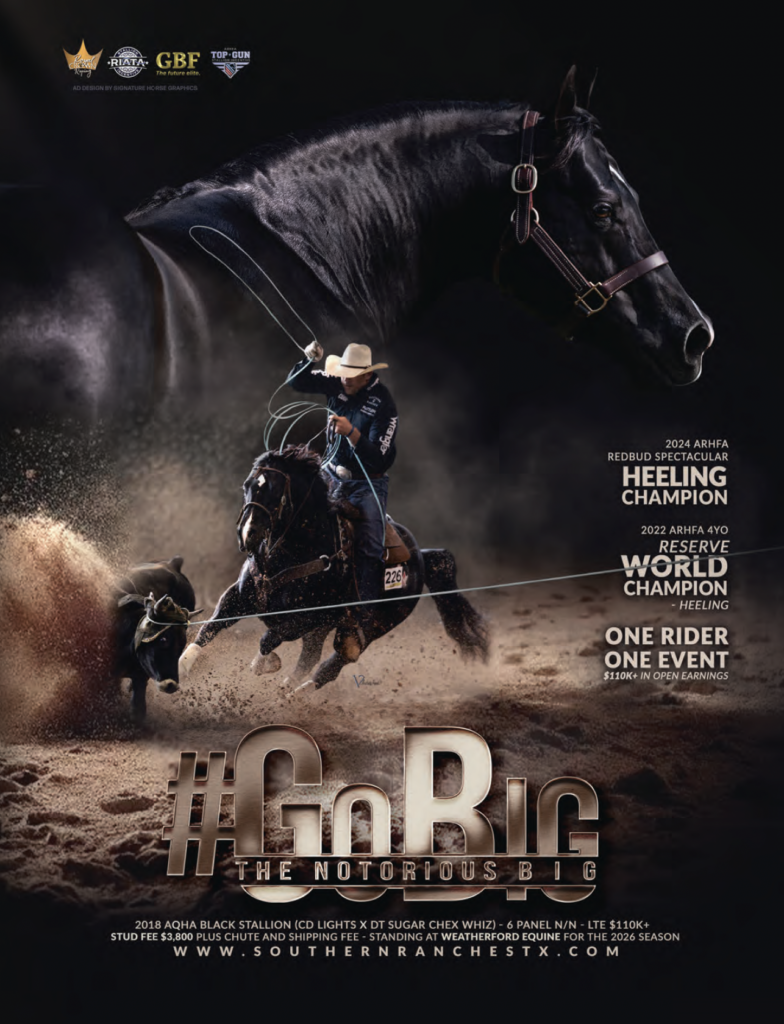 Cowboy on black horse performing heel roping, kicking up dust, with "#GOBIG THE NOTORIOUS BIG" text overlay and championship details