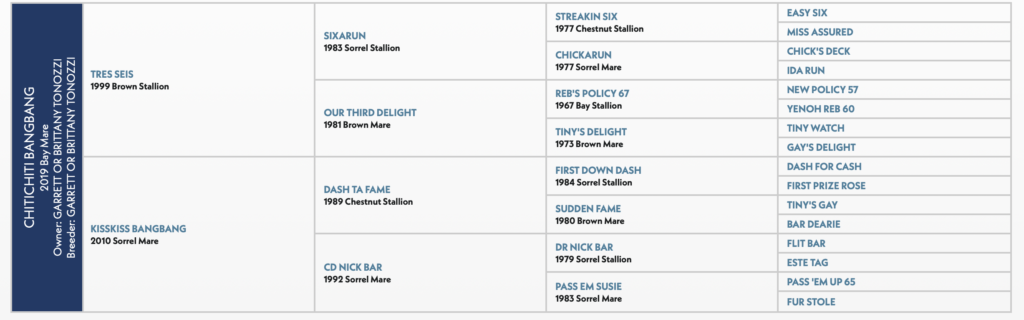 Five-generation pedigree chart for the 2019 bay mare Chitchitti Bangbang, tracing Tres Seis and Kisskiss Bangbang bloodlines