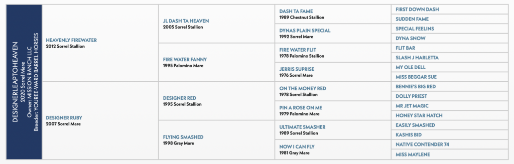 Five-generation pedigree chart for barrel horse Designerleaptoheaven, a 2020 sorrel mare, listing sires and dams by year and color
