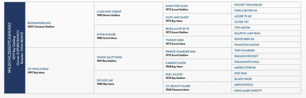 Five-generation pedigree chart for Wildchildsgotcashuno, a 2017 bay gelding, listing sires and dams by name, year and color