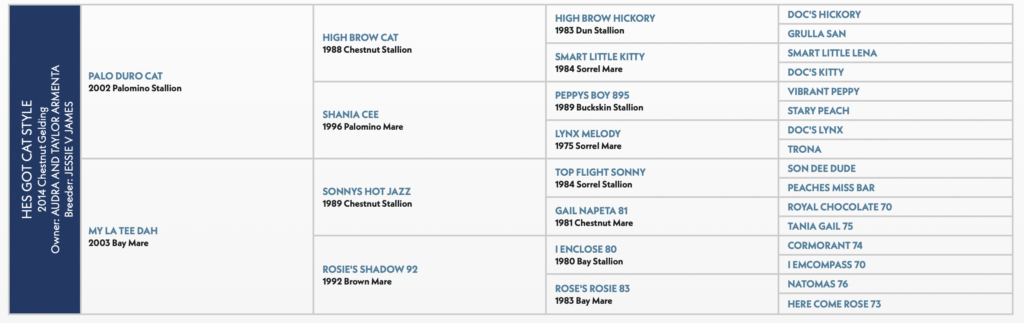 Five-generation pedigree chart for Hes Got Cat Style, a 2014 chestnut gelding by Palo Duro Cat out of My La Tee Dah