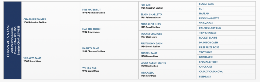 Five-generation pedigree chart for the 2016 Palomino stallion Chasin Aces N Fame, tracing sires and dams including Dash Ta Fame