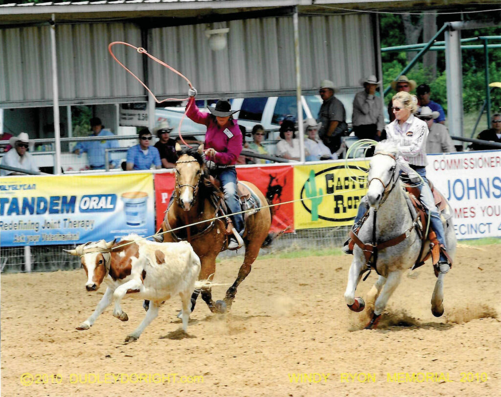 Two women team roping at a rodeo, the header swinging her loop on a buckskin horse as the heeler chases on a gray