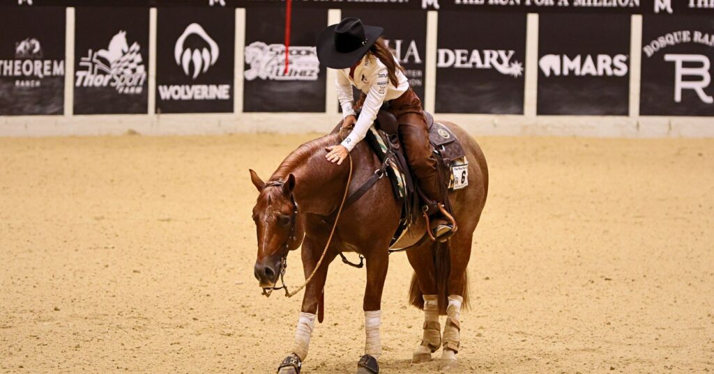 Rider on chestnut horse performing in sand arena with sponsor signage visible in background