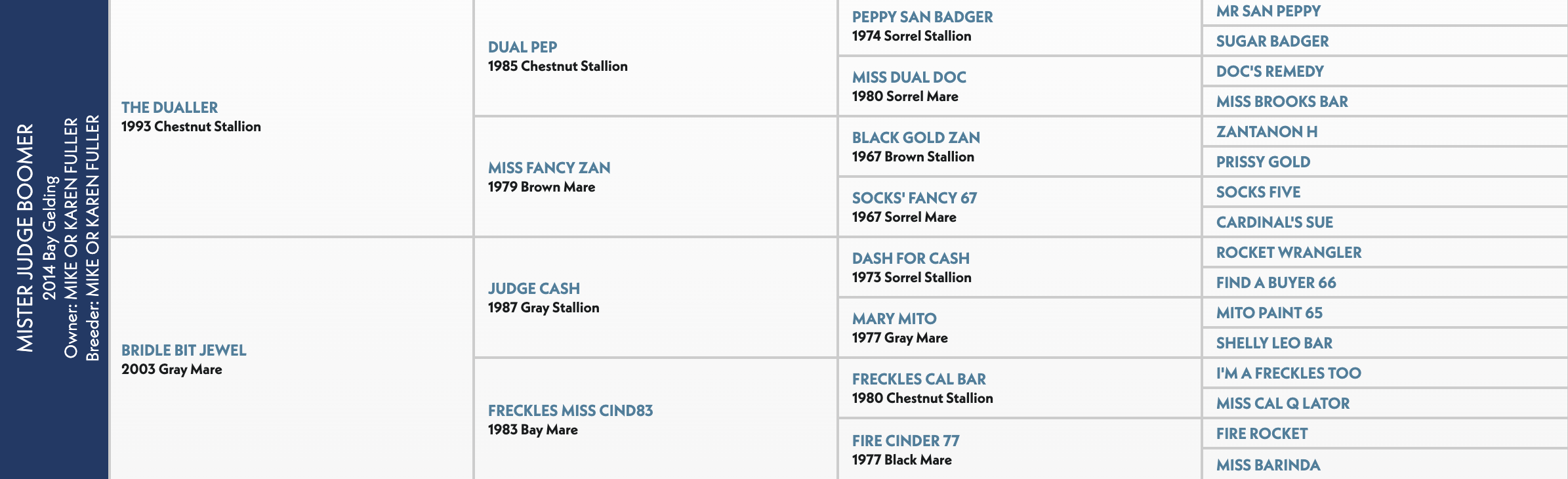 Five-generation pedigree chart for Mister Judge Boomer, a 2014 bay gelding sired by The Dualler out of Bridle Bit Jewel