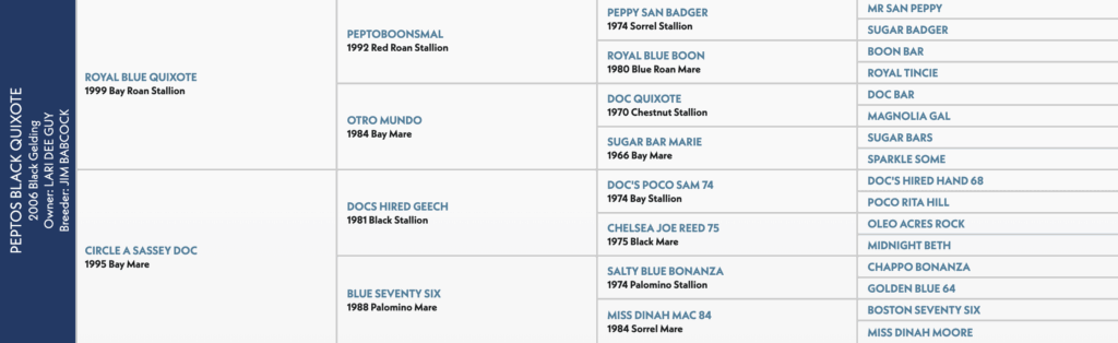 Five-generation pedigree chart for a 2006 black gelding, listing sire Royal Blue Quixote and dam Circle A Sassey Doc
