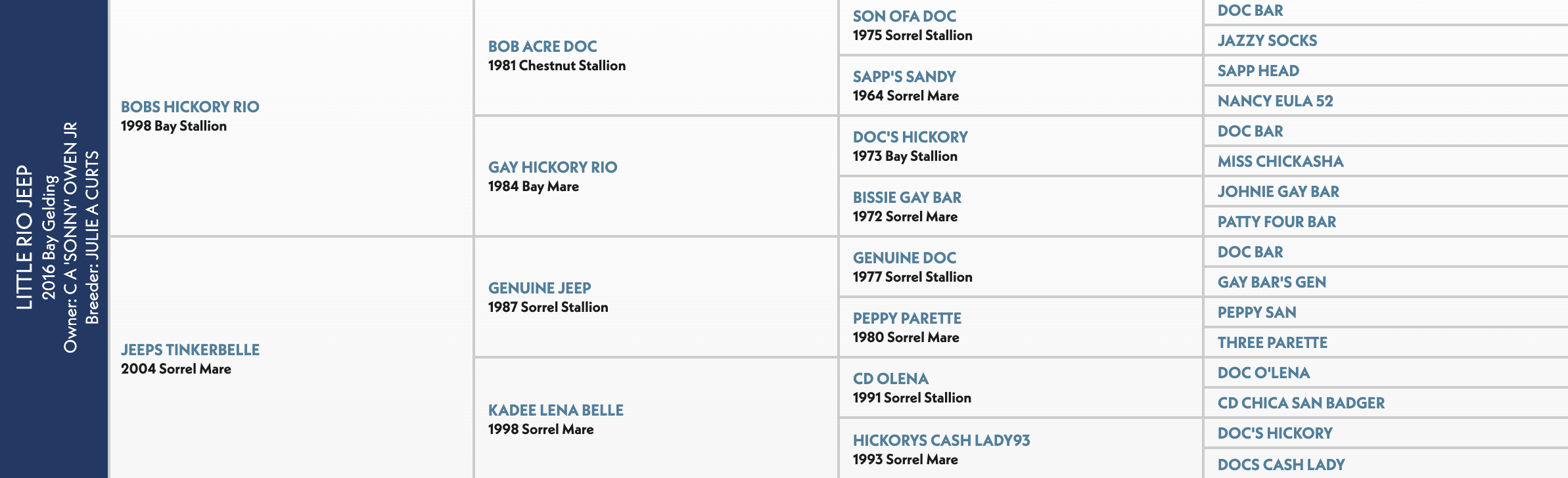 Five-generation pedigree chart for Little Rio Jeep, a 2016 bay gelding by Bobs Hickory Rio out of Jeeps Tinkerbelle