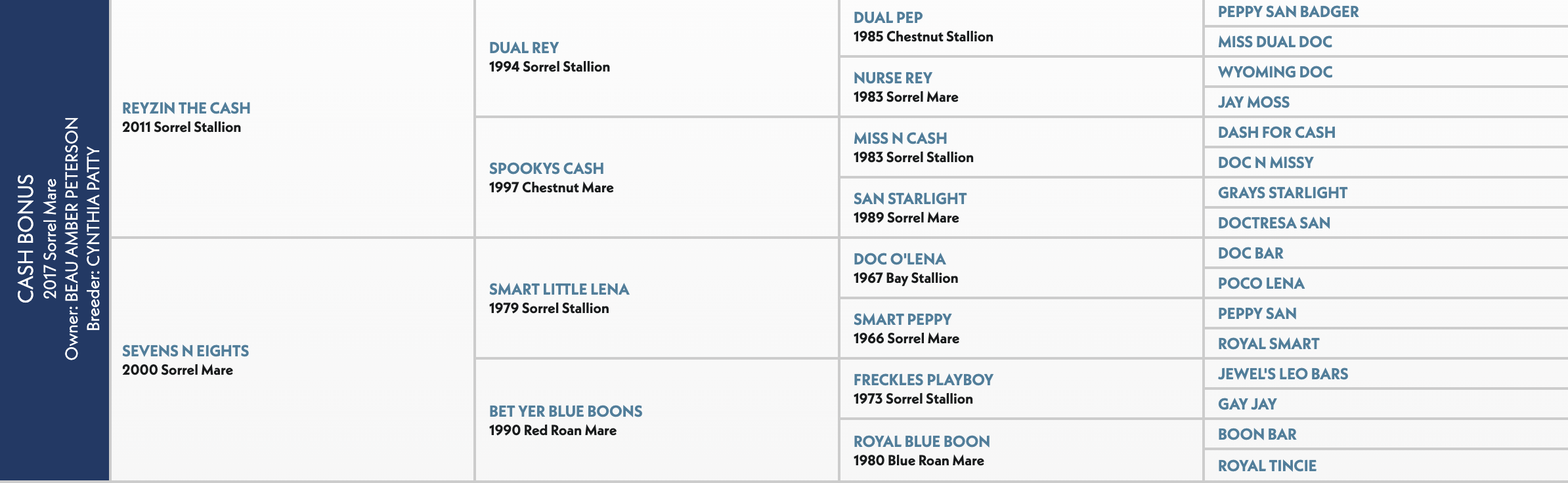 Four-generation pedigree chart for Cash Bonus, a 2017 sorrel mare by Reyzin The Cash out of Sevens N Eights