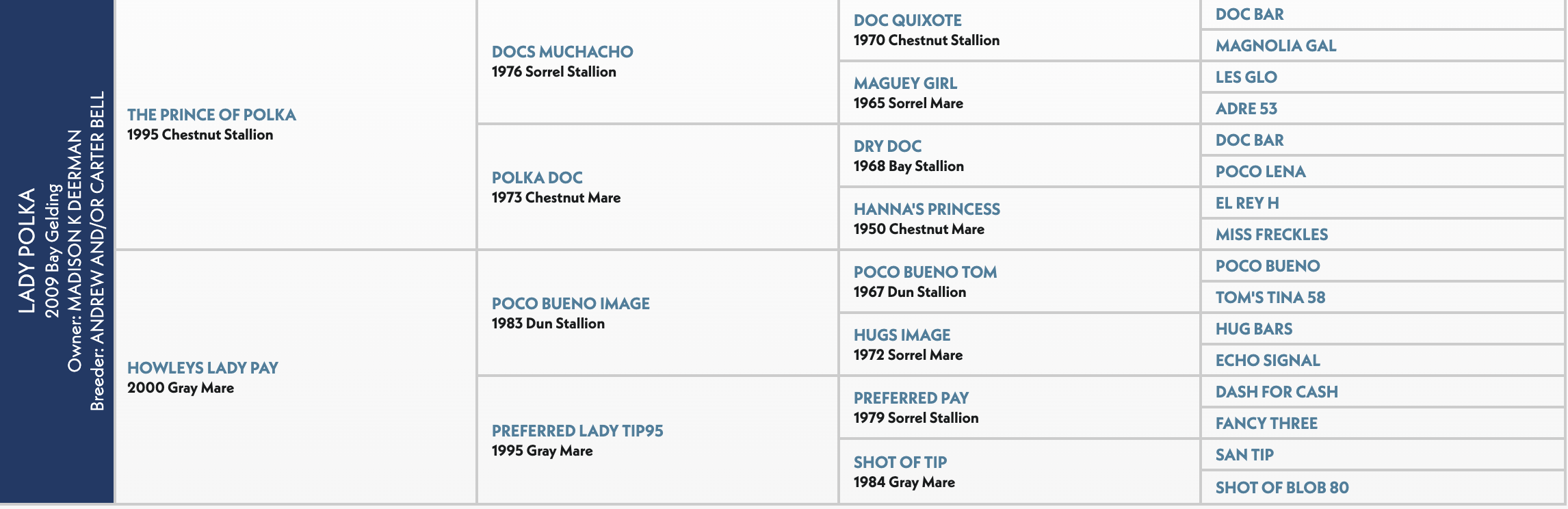 Five-generation pedigree chart for Lady Polka, a 2009 bay gelding, listing sire The Prince of Polka and dam Howleys Lady Pay