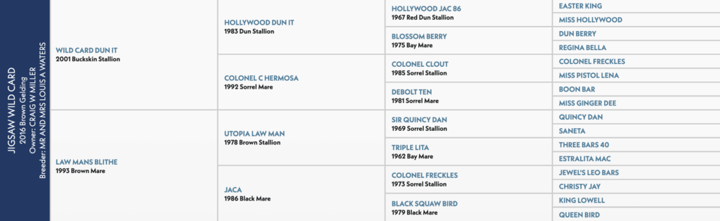 Five-generation pedigree chart for Jigsaw Wild Card, a 2016 brown gelding, listing sires and dams by name, year and color