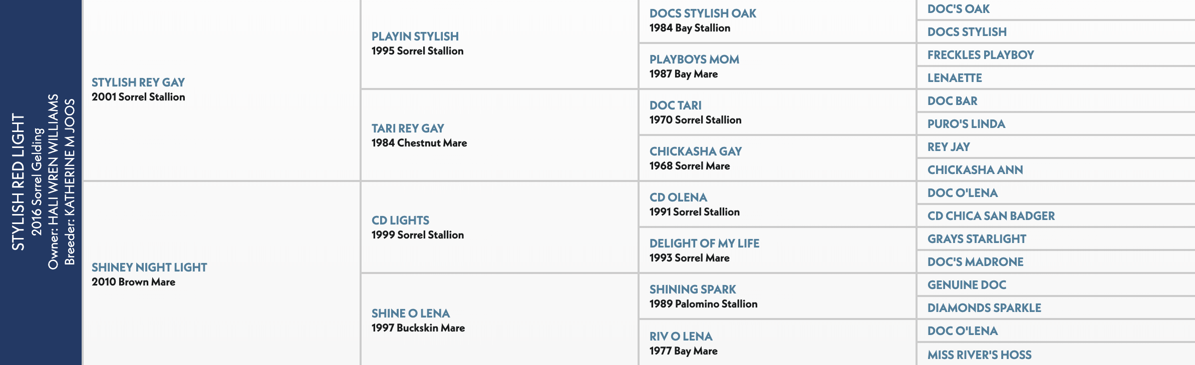 Five-generation pedigree chart for Stylish Red Light, a 2016 sorrel gelding by Stylish Rey Gay out of Shiney Night Light