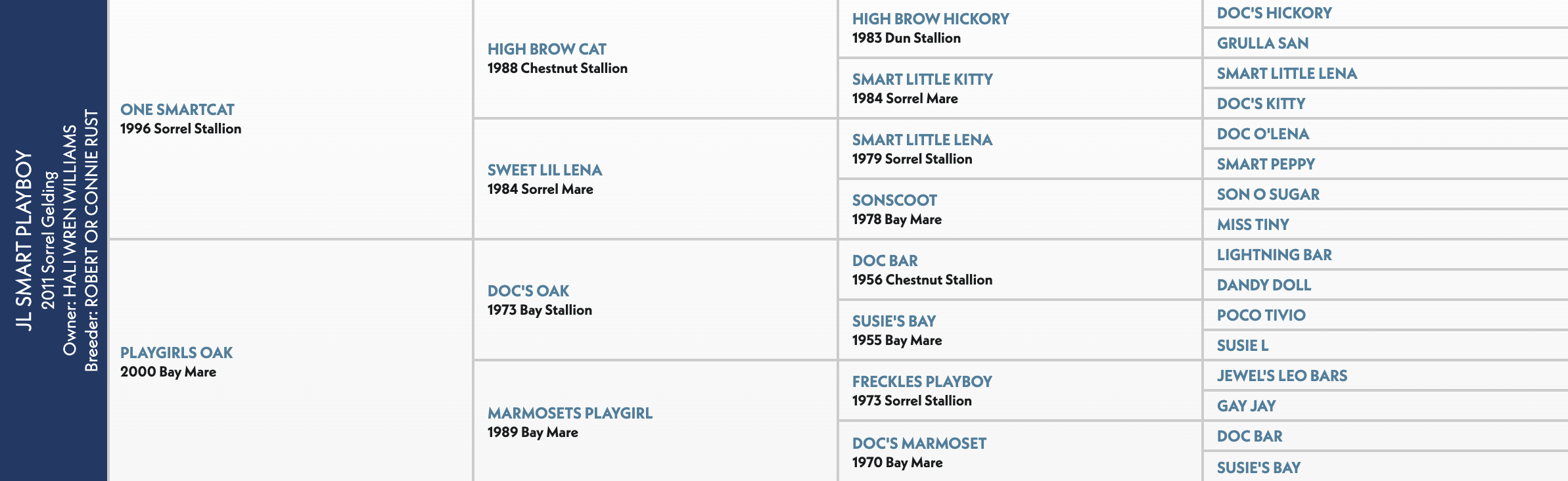 Five-generation pedigree chart for JL Smart Playboy, a 2011 sorrel gelding by One Smartcat out of Playgirls Oak