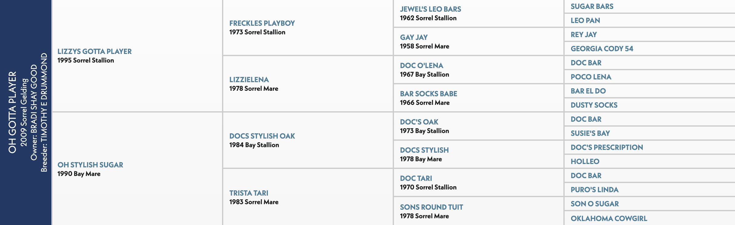 Five-generation pedigree chart for Oh Gotta Player, a 2009 sorrel gelding by Lizzys Gotta Player out of Oh Stylish Sugar