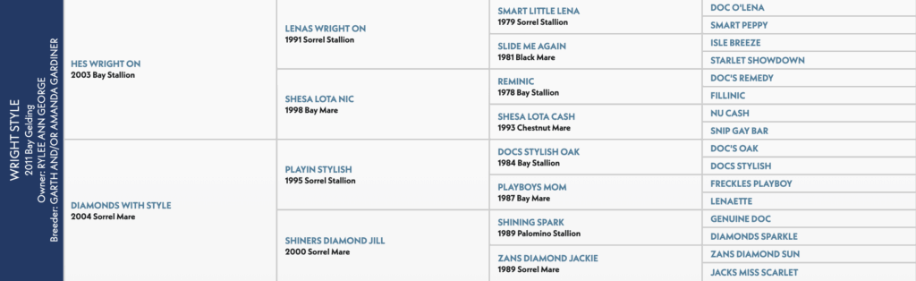 Five-generation pedigree chart for Wright Style, a 2011 bay gelding by Hes Wright On out of Diamonds With Style