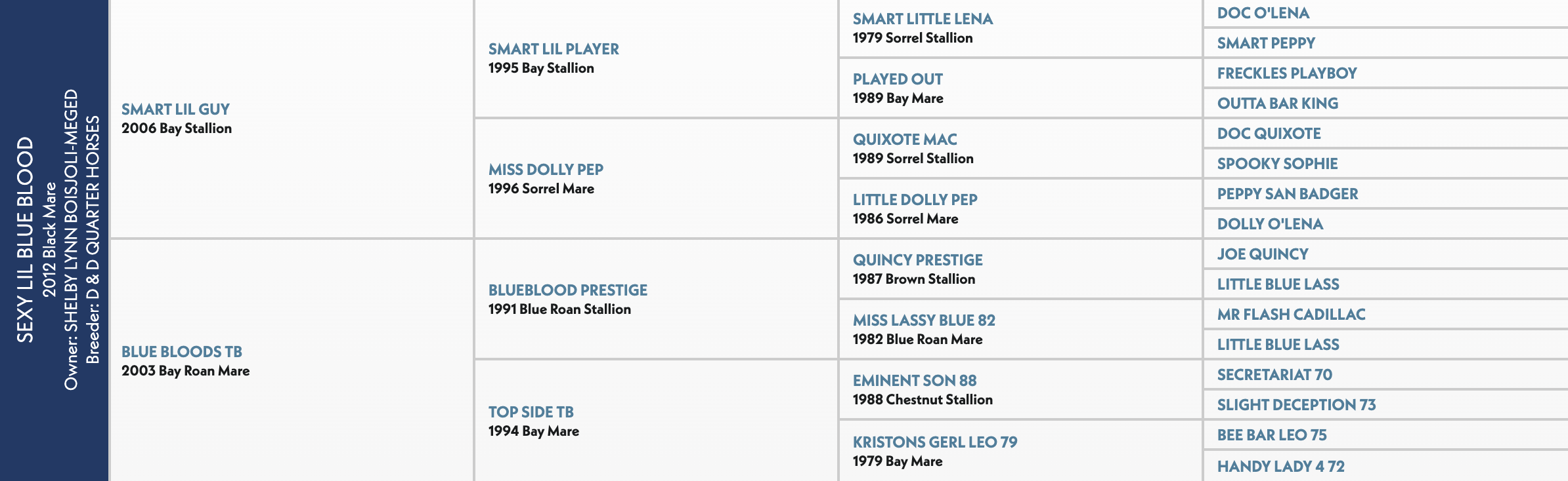 Five-generation pedigree chart for Sexy Lil Blue Blood, a 2012 black mare, listing sire Smart Lil Guy and dam Blue Bloods TB