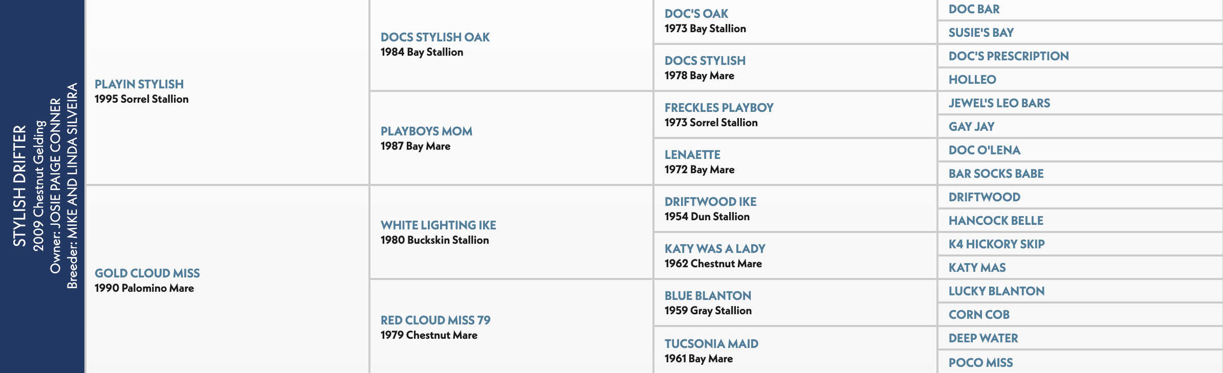 Five-generation pedigree chart for Stylish Drifter, a 2009 chestnut gelding, listing sire Playin Stylish and dam Gold Cloud Miss