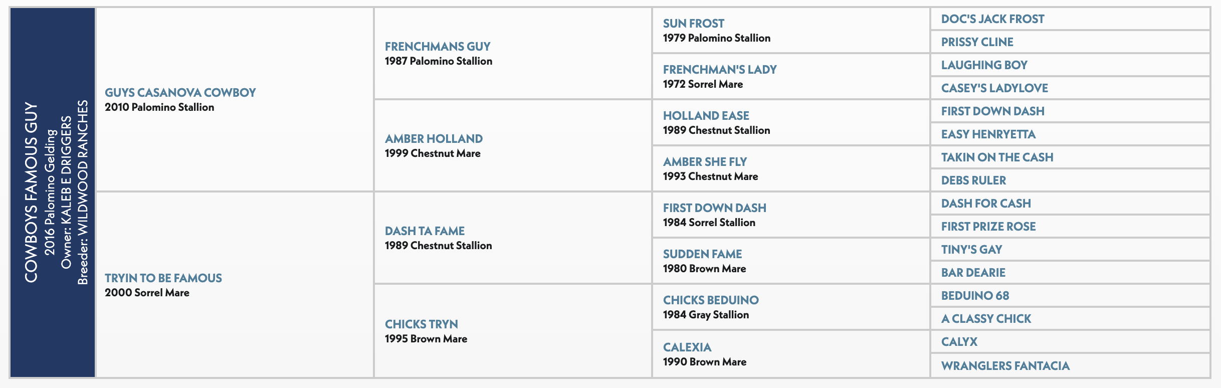 Five-generation pedigree chart for Cowboys Famous Guy, a 2016 palomino gelding by Guys Casanova Cowboy out of Tryin To Be Famous
