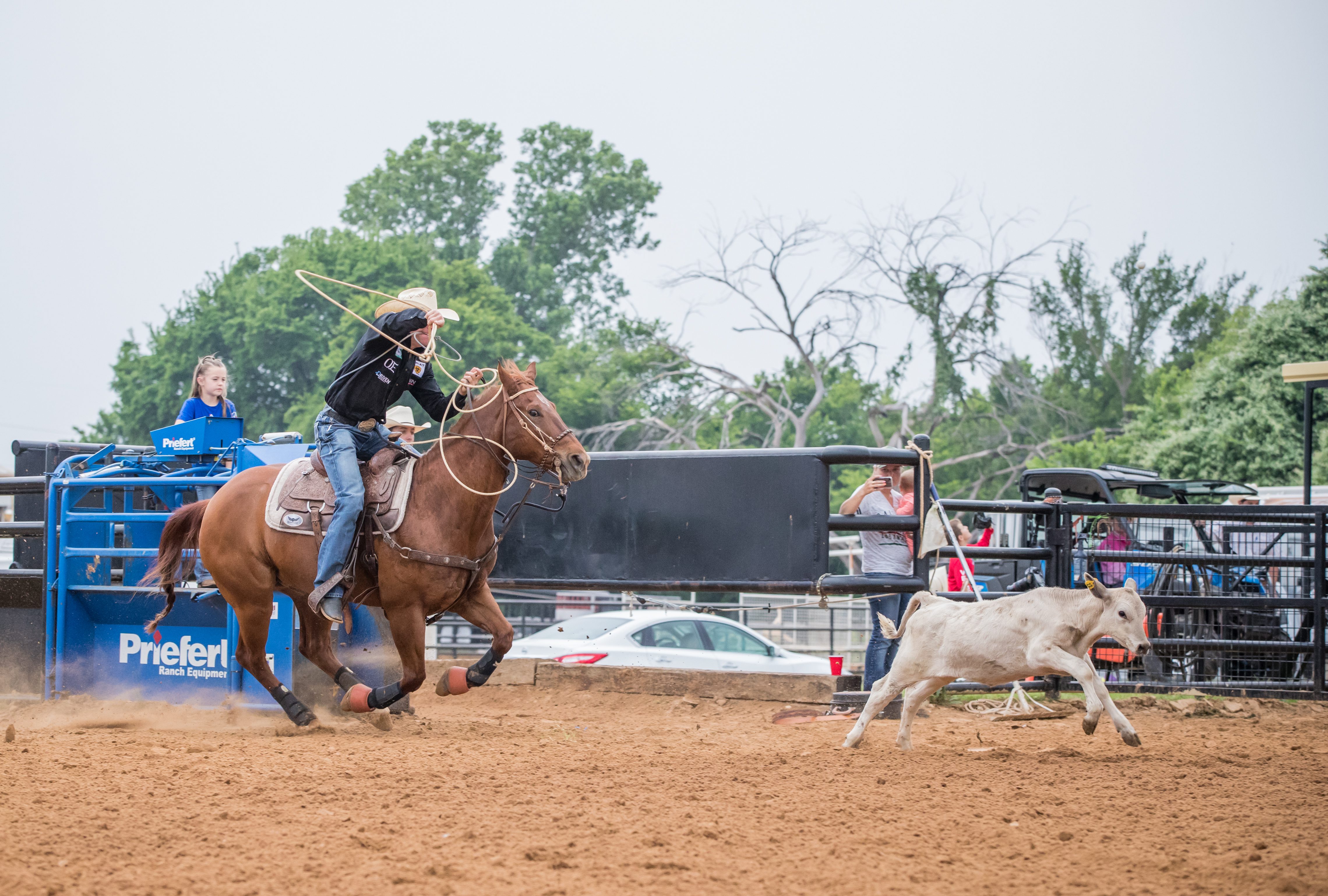 Trevor Brazile sorrel horse tie-down roping leaving box