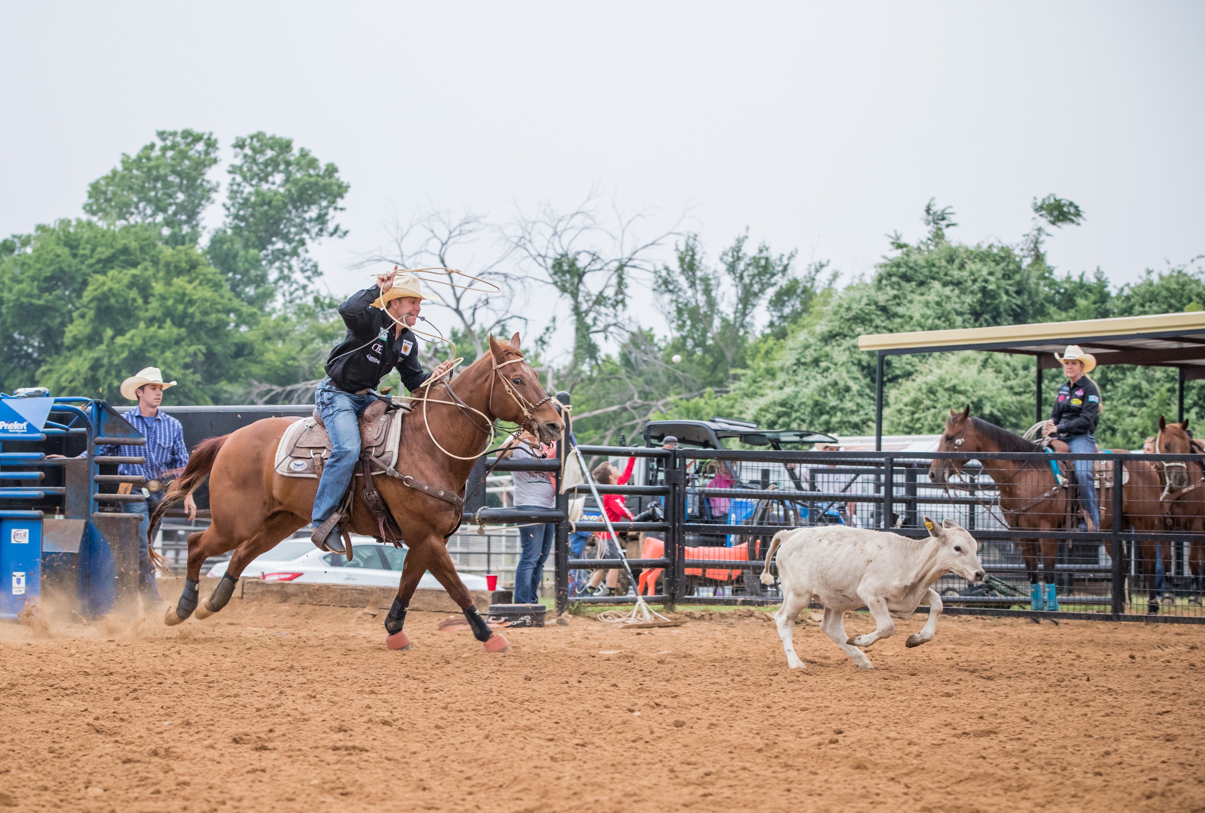 man swinging calf rope on horse