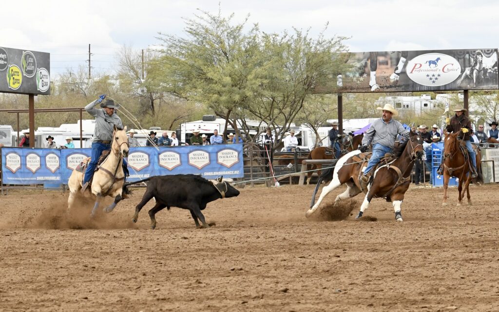 Team ropers work a black steer in the arena during a rodeo competition, with horses and riders positioned around the animal in the dirt arena