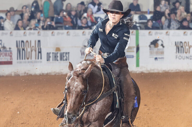 Rider in a black cowboy hat and chaps sliding her roan horse to a stop in an arena in front of NRCHA banners