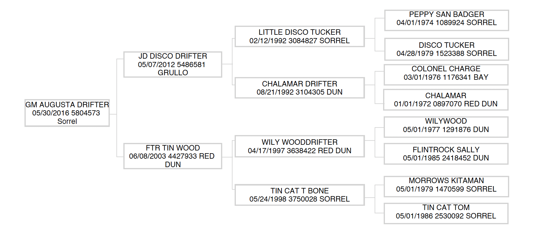 Three-generation pedigree chart for sorrel mare GM Augusta Drifter, listing sire JD Disco Drifter, dam FTR Tin Wood and their ancestors