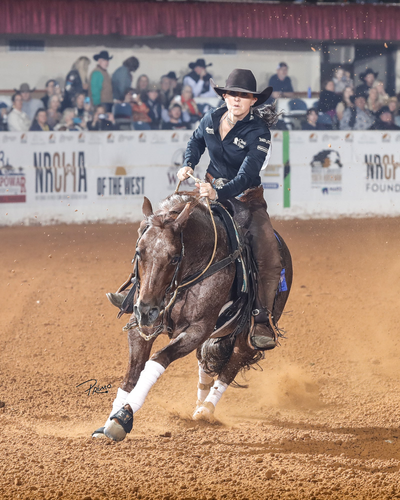 Rider in a black hat and shirt slides a roan horse to a stop in the arena dirt during an NRCHA cow horse run