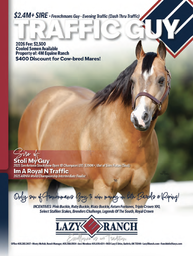 Stallion advertisement for Traffic Guy, a buckskin horse with white blaze, standing in profile with breeding incentives and Lazy K Ranch contact information displayed