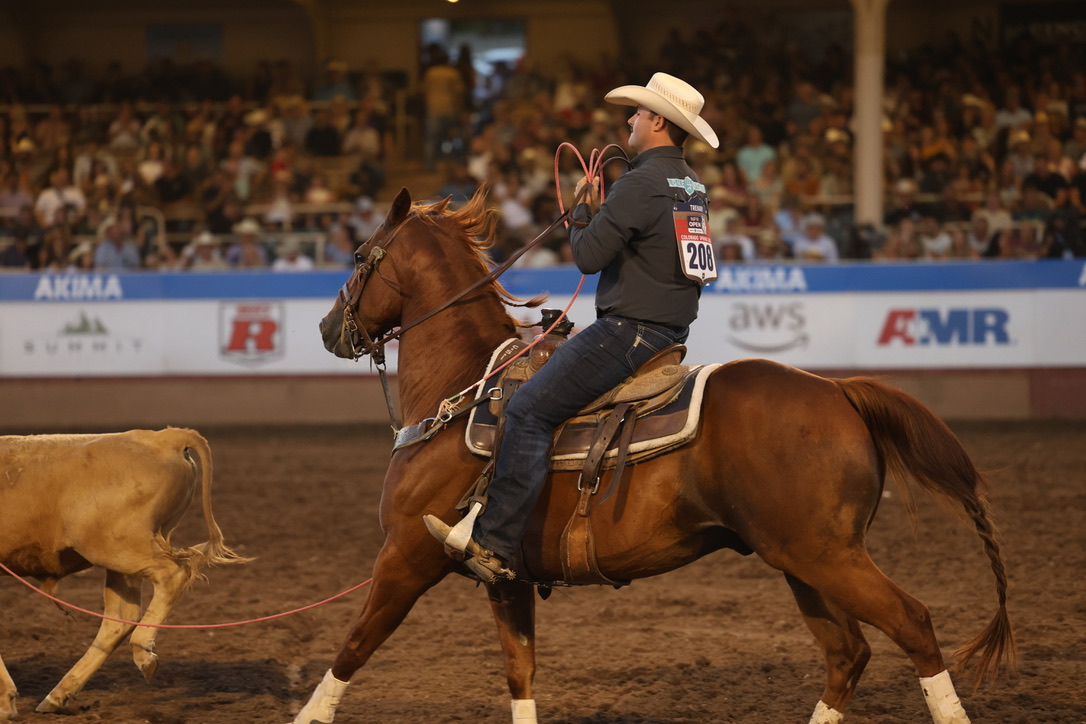 Team roping header in a straw cowboy hat coils his rope aboard a sorrel horse as a steer trots ahead in the arena