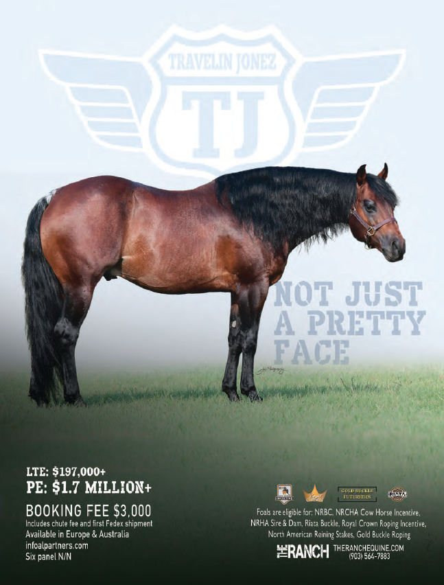 Stallion breeding ad featuring a bay quarter horse stallion standing in profile on grass with "Not Just a Pretty Face" text