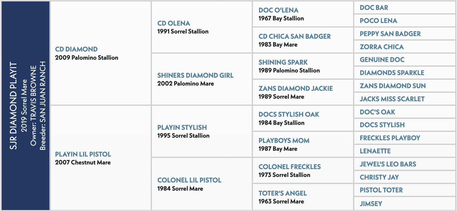 Surround Plant pedigree chart showing CD Diamond as the 2009 Palomino stallion sire, with ancestors and descendants listed across multiple generations in a tabular format.