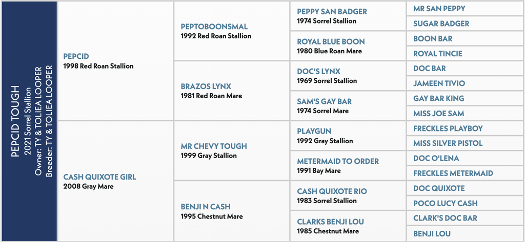 Pedigree chart for Pepci Tough showing the 2021 Sorrel Stallion's ancestry across four generations, listing sire and dam lineages with horse names and birth years.