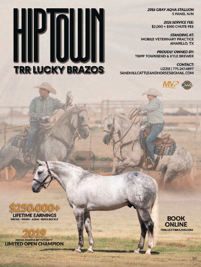 Stallion breeding ad for gray AQHA stallion TRR Lucky Brazos, shown standing plus two inset photos of riders working him in an arena